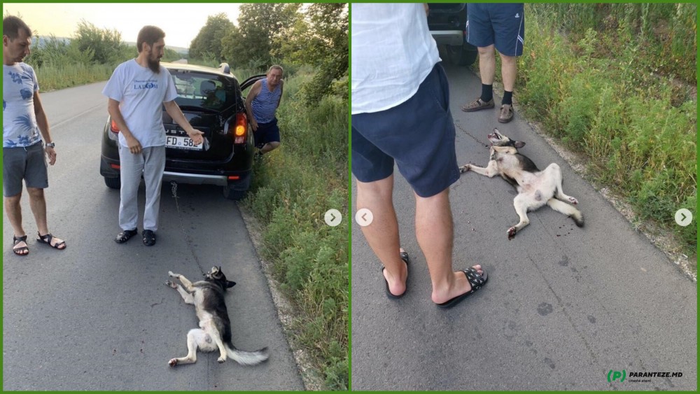 FOTO // Preotul care a târât un câine în urma mașinii a fost exclus din clerul Bisericii Ortodoxe din Moldova